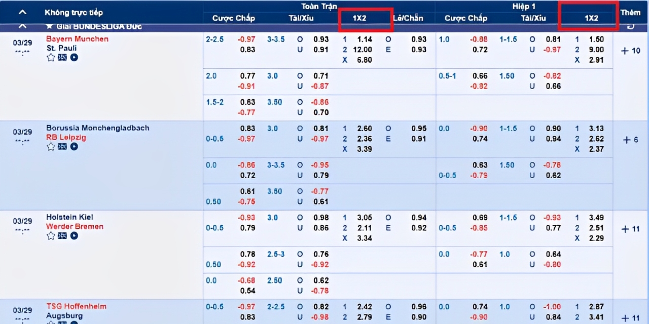 Kèo Châu Âu đơn giản, dễ chơi cho người mới