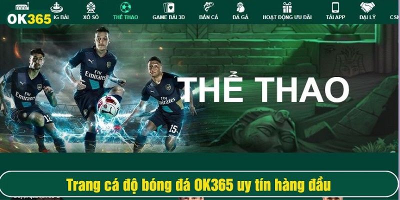 Trang cá độ bóng đá OK365 là địa chỉ uy tín cho bet thủ